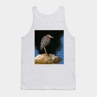 Little Blue Heron on the rocks Tank Top